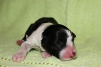 /album/jack/boy-2-jpg1/